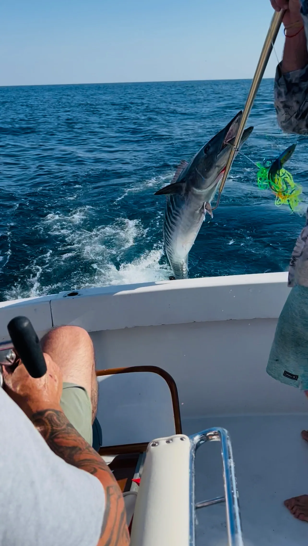 Fish being gaffed out of the water during deep sea fishing action on Deep South Charters Orange Beach Alabama