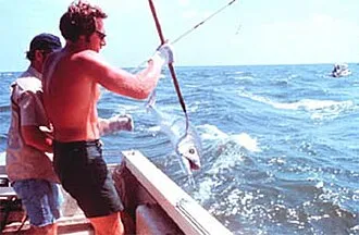 King Mackerel caught fishing in Orange Beach Alabama