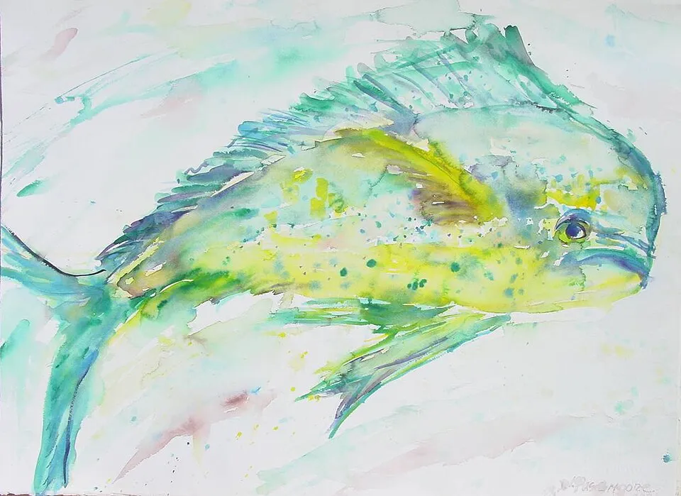Mahi-Mahi caught fishing in Orange Beach Alabama